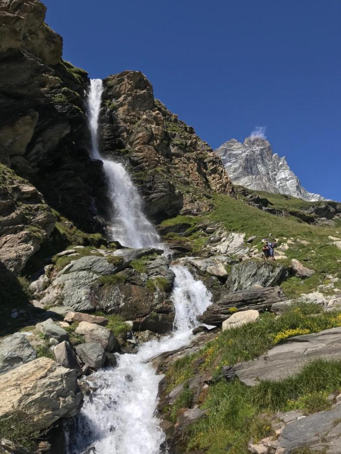 Chat Des Neiges - Cervinia Breuil-Cervinia Dış mekan fotoğraf